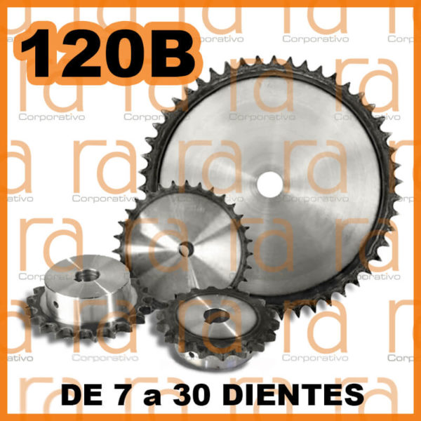 Catarina 120B de 7 a 30 dientes